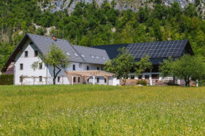 Domačija Log v Bohinju